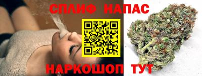 дмт Славянск-на-Кубани