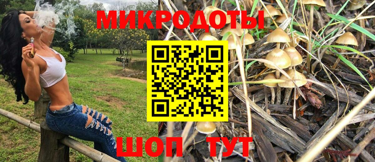 Псилоцибиновые грибы Psilocybine cubensis  Галлюциногенные грибы Psilocybe  Вход с VPN  Прохладный 