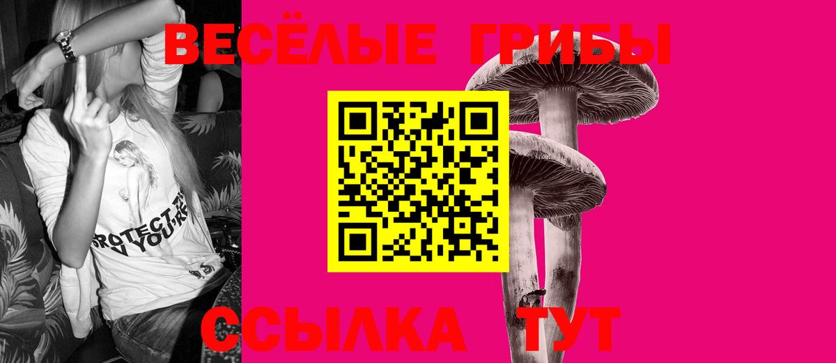 Галлюциногенные грибы Psilocybe Прохладный